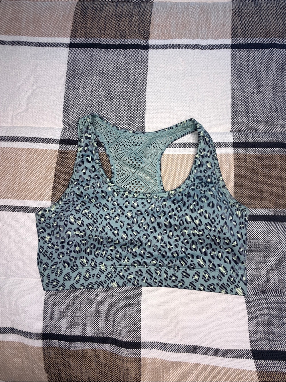 Sky Leopard Bomber Bra - Picture 5 of 9